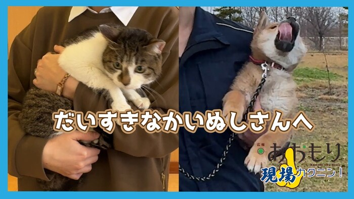 画像：広報現場カクニン 令和8年2月サムネイル　だいすきなかいぬしさんへ