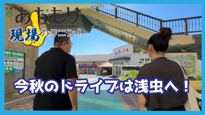画像：広報現場カクニン 令和7年10月サムネイル　今秋のドライブは浅虫へ！