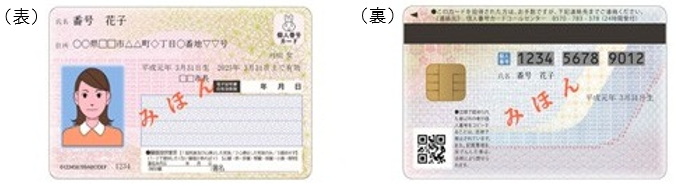 写真：マイナンバーカード　見本
