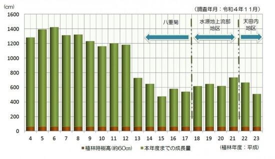 グラフ：各年度に植林したブナ標準木の成長量調査結果