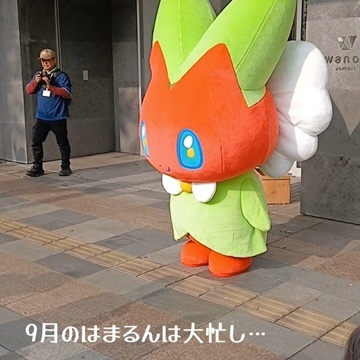 9月のはまるん