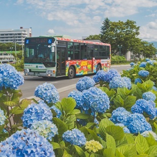 八重田の紫陽花＆国スポ100日前