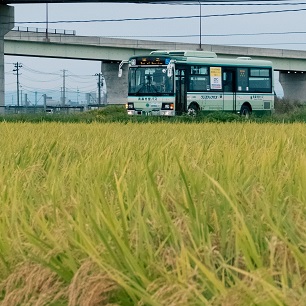 青森市営バスの画像
