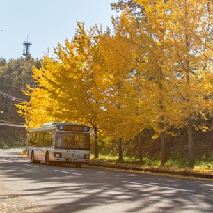 青森市営バスの画像