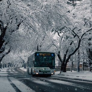 市営バスの画像