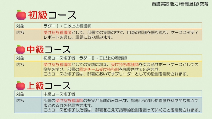 初級コースなど