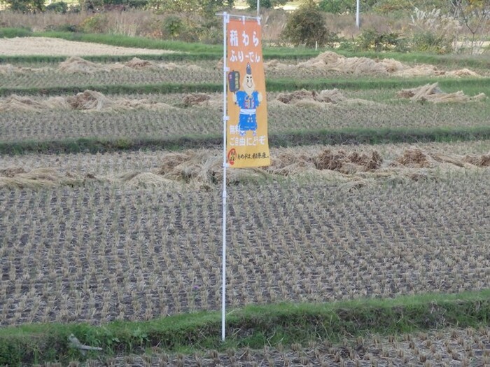 写真：稲わらふりーでんの旗
