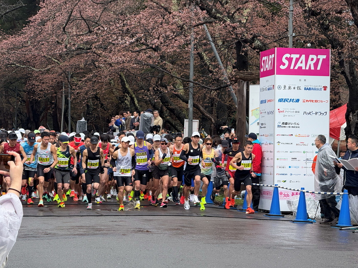 写真:2025桜マラソン