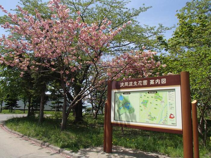 写真：浪岡湿生花園