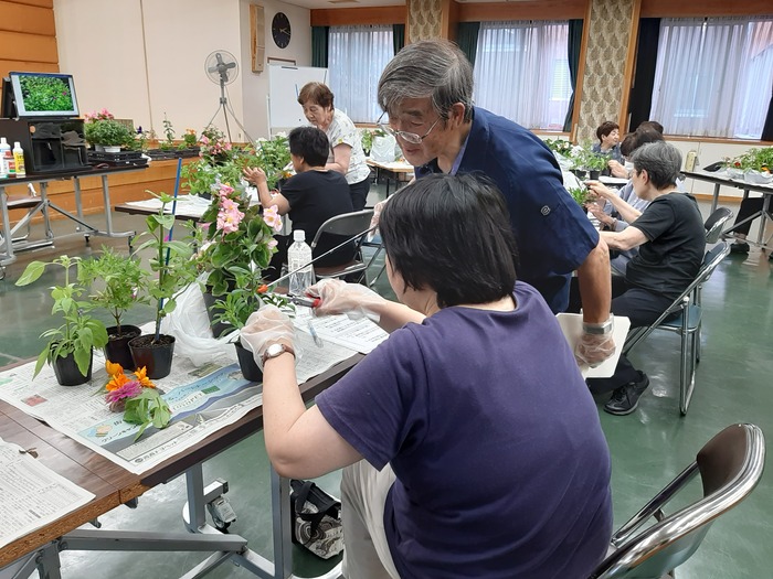 写真:花を長くきれいに楽しむ栽培管理講座