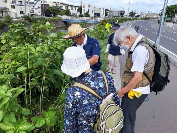 写真:アジサイせん定講習会