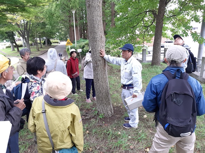写真:樹木医と巡る平和公園