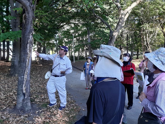 写真:樹木医と巡る平和公園