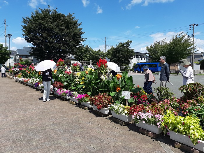 写真：花だん見学会の様子2