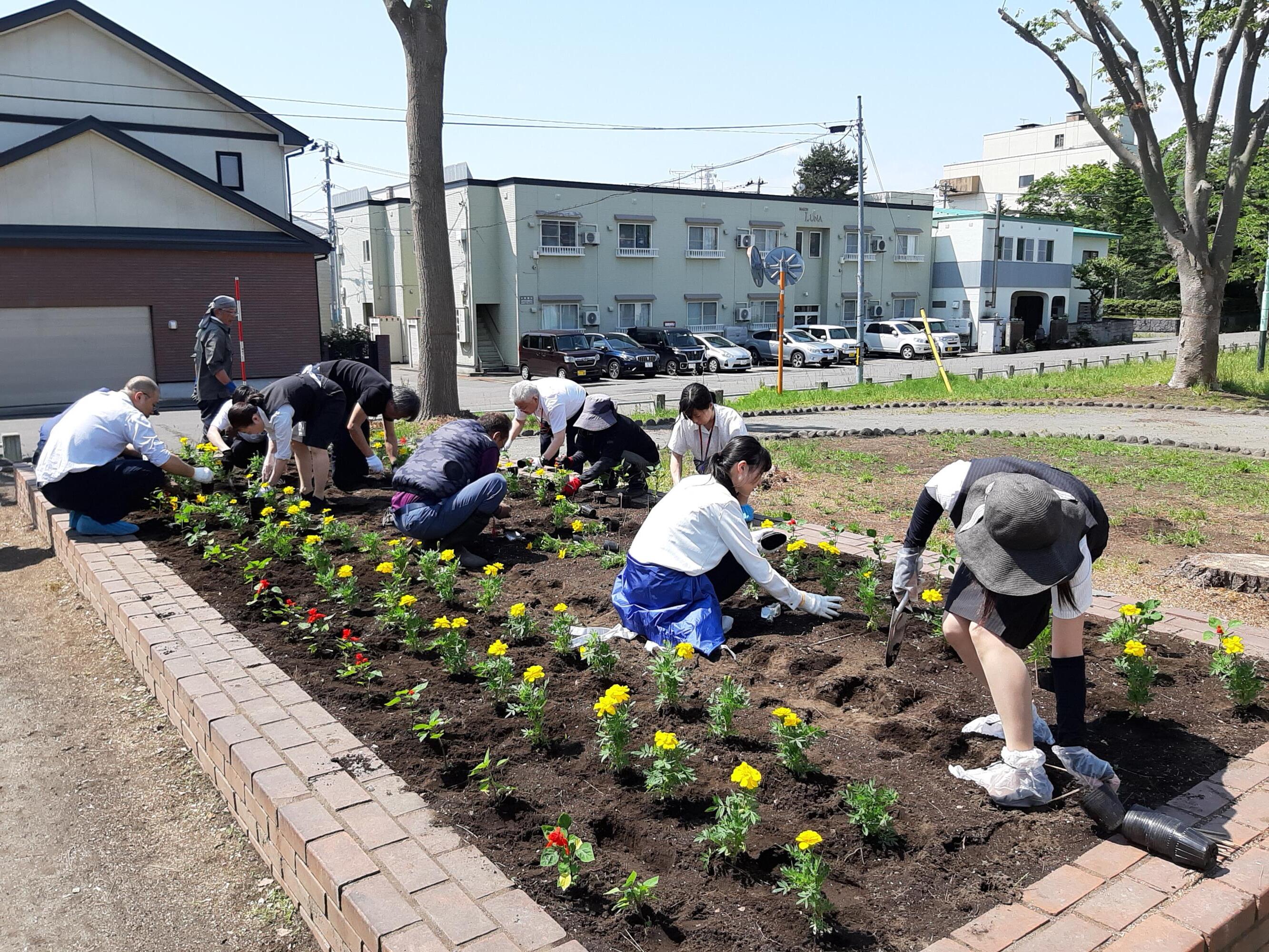 写真:堤・松原花壇植栽