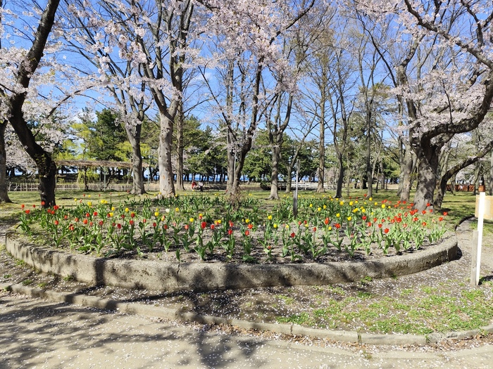 写真:合浦公園