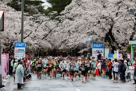 画像：あおもり桜マラソン開催事業