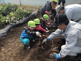 写真：大野地区の「農業体験」