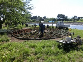写真:荒川河川敷公園整備3