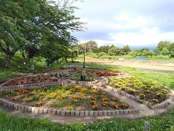 写真:荒川河川敷公園1