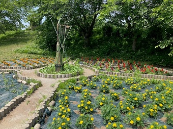 河川敷花壇4
