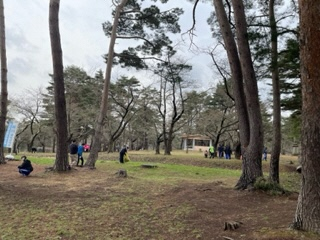 写真:枝拾い3