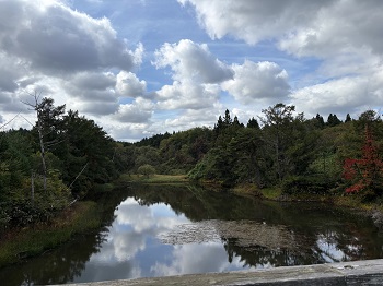 写真：空が池に鏡のように映って、とてもきれいでした