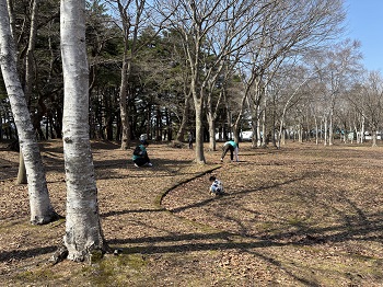 写真：枝拾いの様子