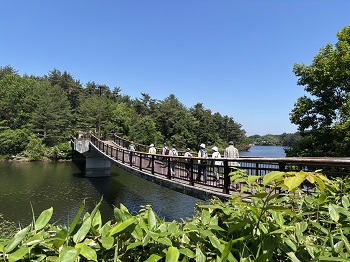 写真：野木和湖を橋で渡ります