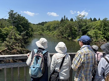 写真：鯉などさまざまな生き物がいました