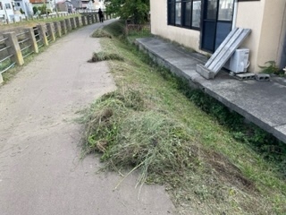 写真:沖館川クリーン大作戦2
