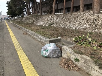 写真:清掃活動後の歩道