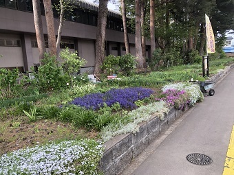 写真:作業をしている花壇の様子