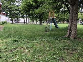 写真:草刈り作業前の様子