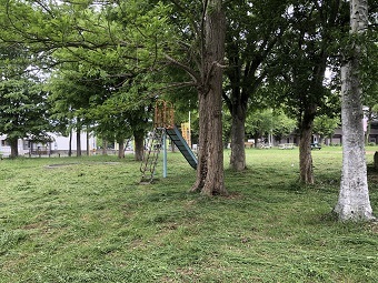 写真:草刈り作業後の様子