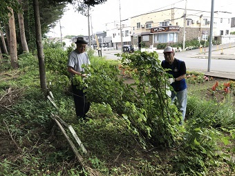 写真:摘み取り作業の様子1