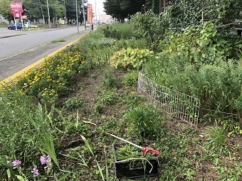写真:作業中の花壇の様子