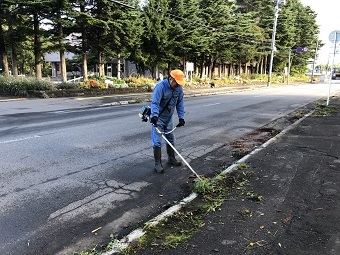 写真:草刈りの様子