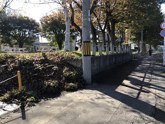 写真:公園の様子