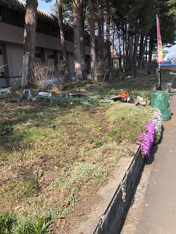 中央花壇の手入れ2