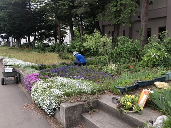 花壇の手入れ1