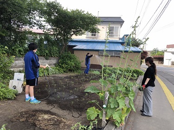 花壇の手入れ