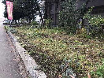 花壇片付け1