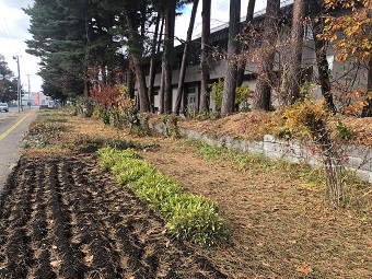 花壇冬支度1