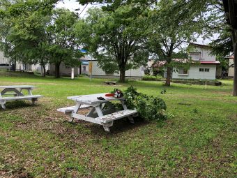 070518公園と花壇1