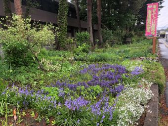 070518花壇
