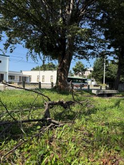 070916公園片付け1