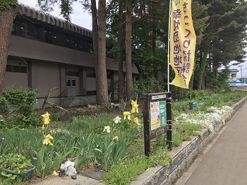 写真:2022幸畑花壇2