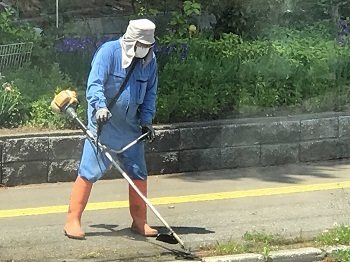 写真:20220611バス通り草刈り1