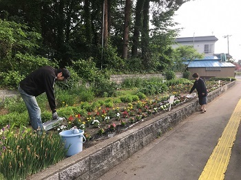 写真:20220618花壇2